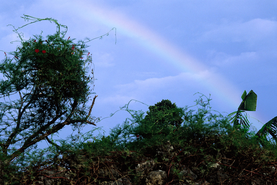 at Taketomi, Okinawa.