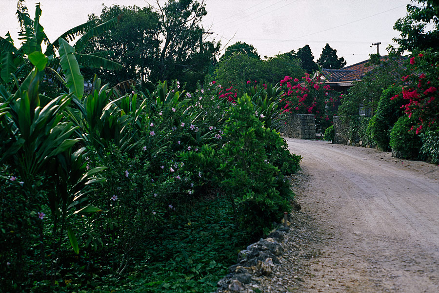 at Taketomi, Okinawa.