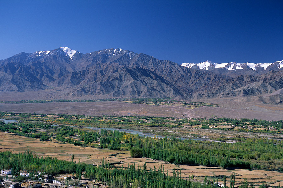 Tikse, ladakh India