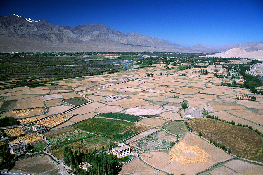 Tikse, ladakh India