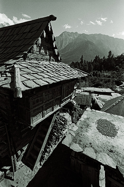 at Kalpa, India